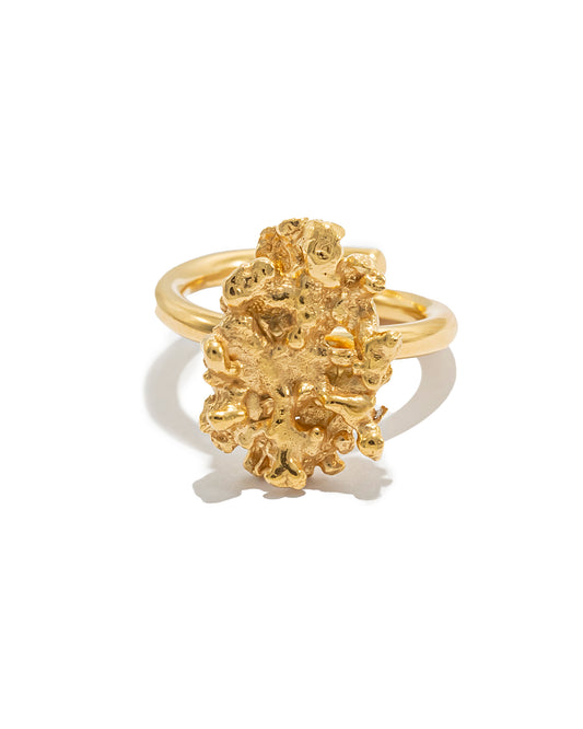 Anel Coral Amalgama