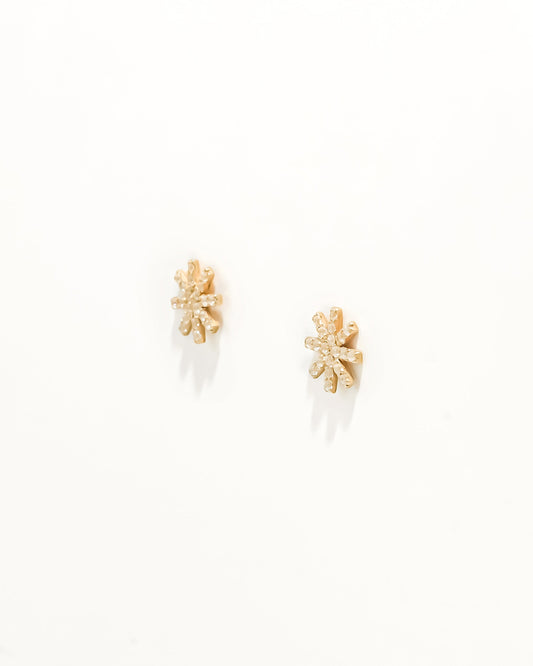 Brincos Estrelas com Zircónias