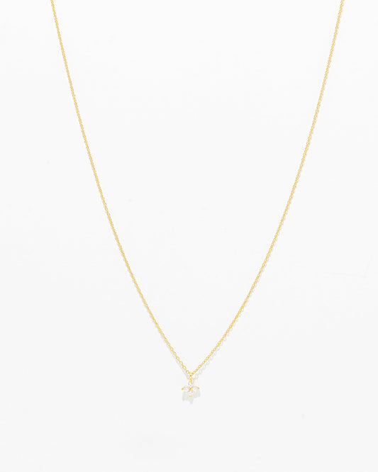 Colar Flôr com Zircónias