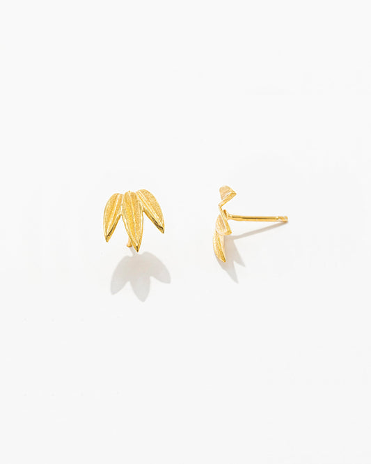 Brincos Três Folhas de Oliveira Mini