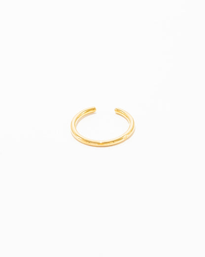 Anel Aberto com Zircónias