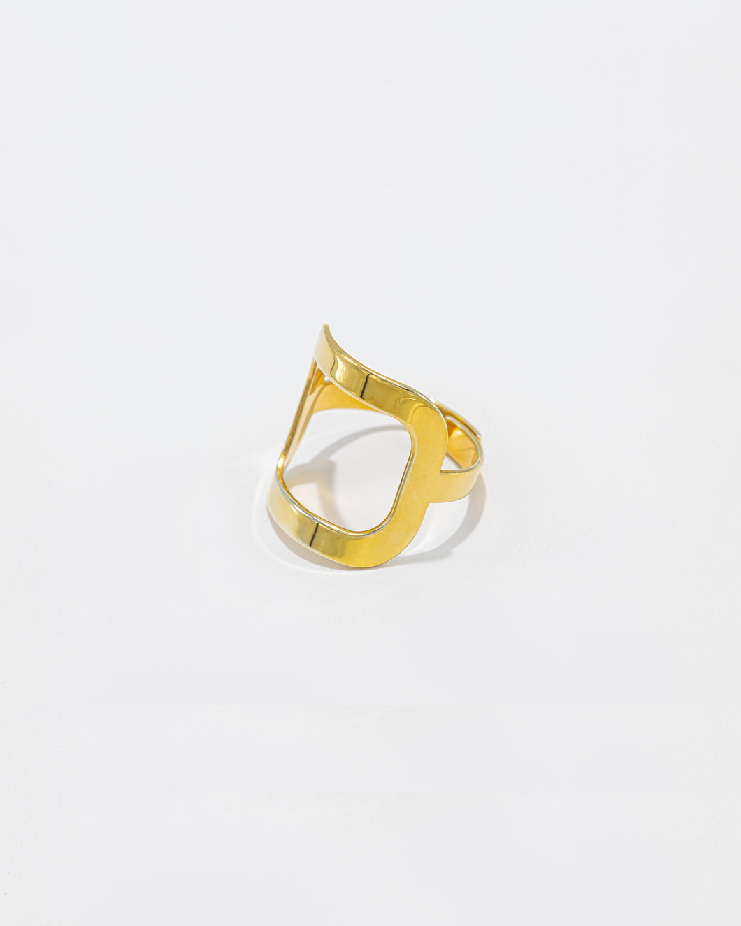 Geometric Ring