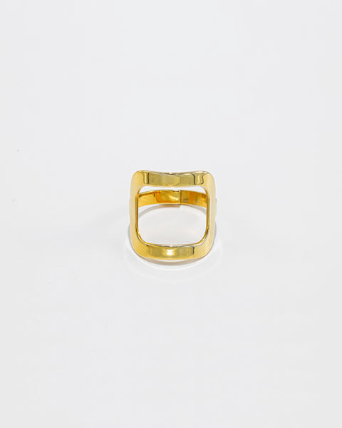 Geometric Ring