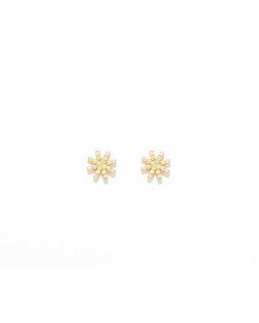 Brincos Estrelas com Zircónias