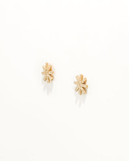 Brincos Estrelas com Zircónias