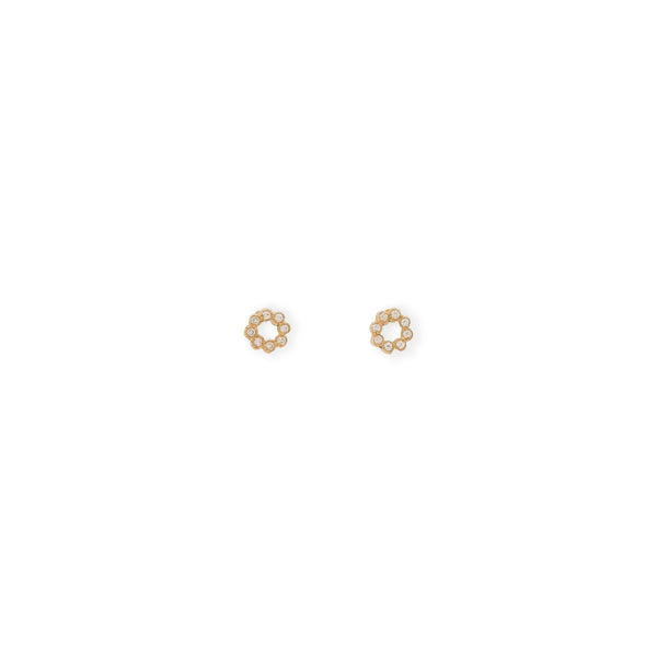 Circle Earrings with Zirconias