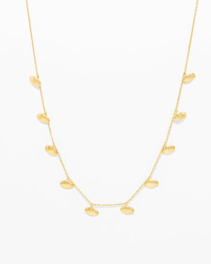 Shell Necklace