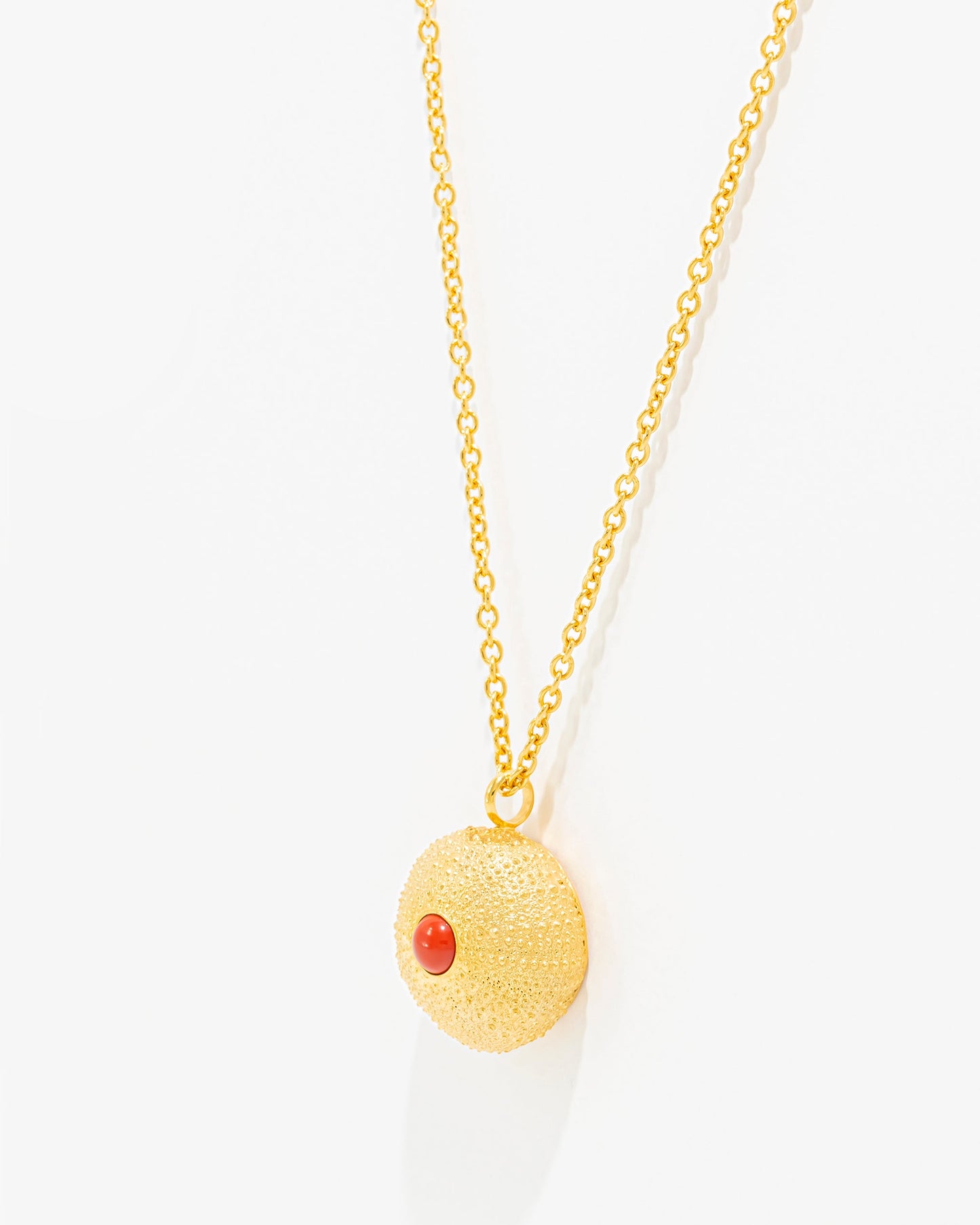 Colar Ouriço do Mar