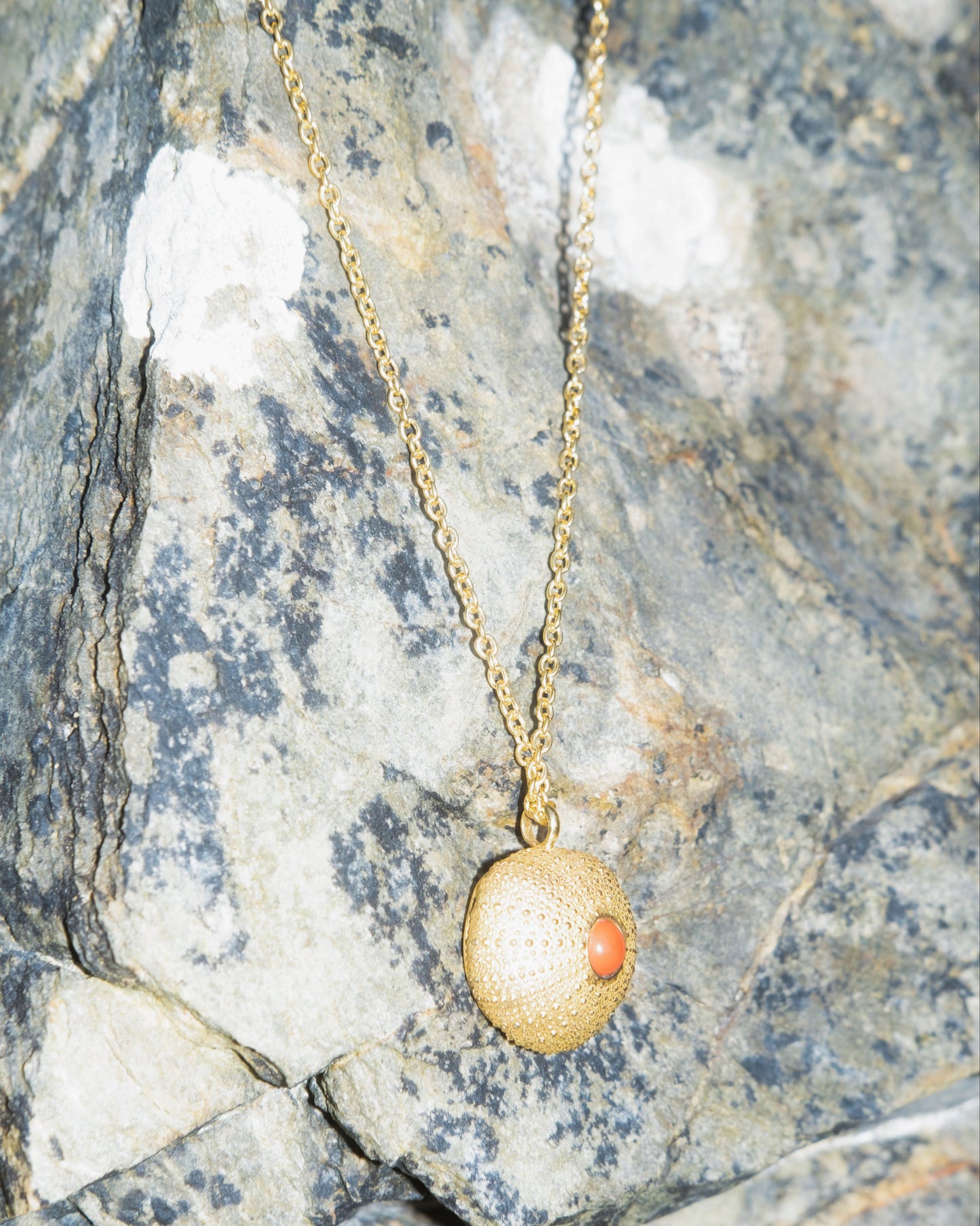 Colar Ouriço do Mar