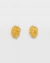 Load image into Gallery viewer, Reef Earrings
