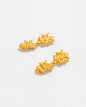 Load image into Gallery viewer, Double Reef Earrings
