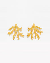 Load image into Gallery viewer, Coral Reef Earrings
