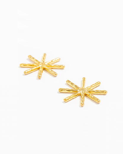 Brincos Estrelas Esculpidas