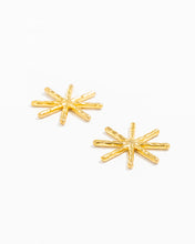 Load image into Gallery viewer, Sculpted Star Earrings
