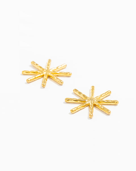 Sculpted Star Earrings