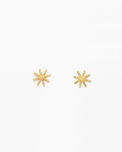Brincos Estrela Mini