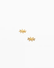 Load image into Gallery viewer, Mini Star Earrings
