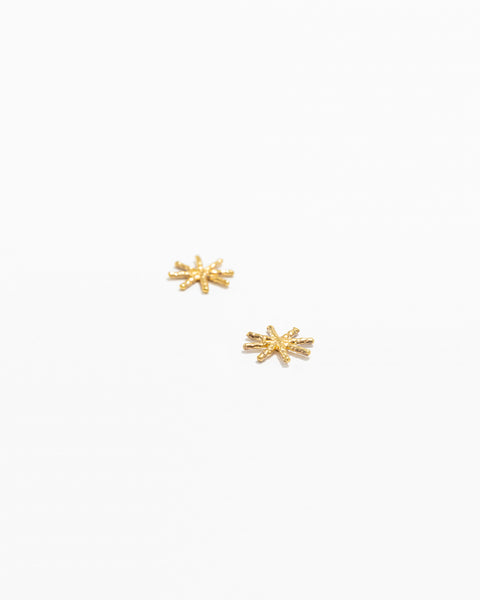 Mini Star Earrings