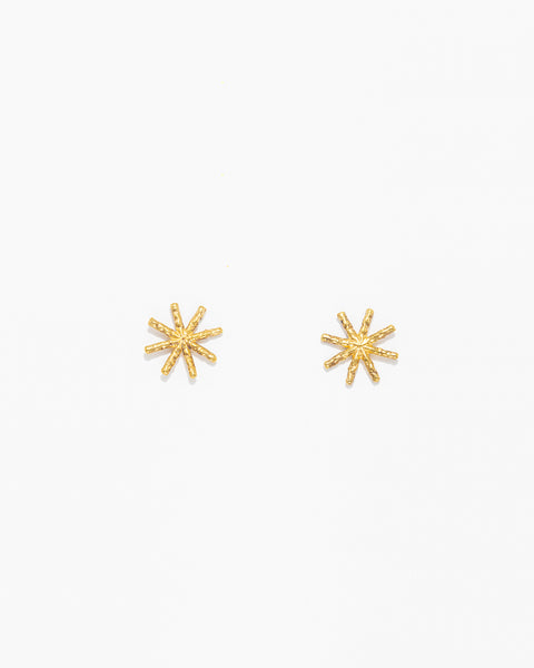 Mini Star Earrings