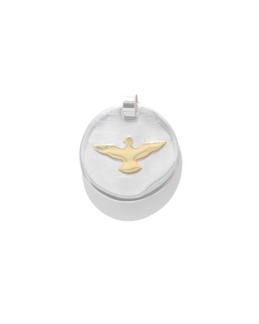 Medalha Espírito Santo Ouro e Prata